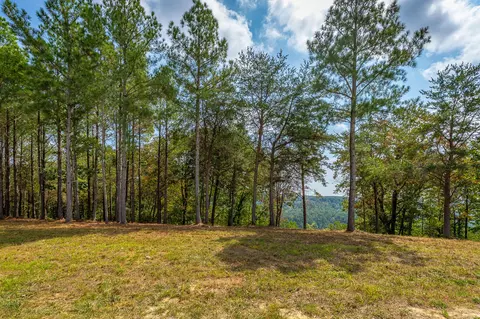 0 Split Rail Way #LOT 1358, Guild, TN 37340 photo 29