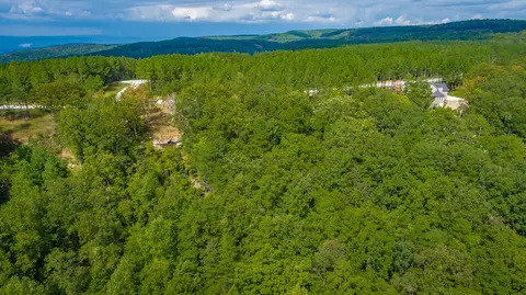 0 Split Rail Way #LOT 1358, Guild, TN 37340 photo 77