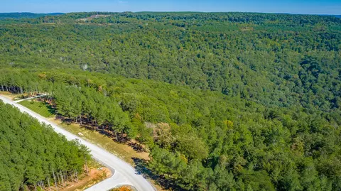 0 Split Rail Way #LOT 1358, Guild, TN 37340 photo 85