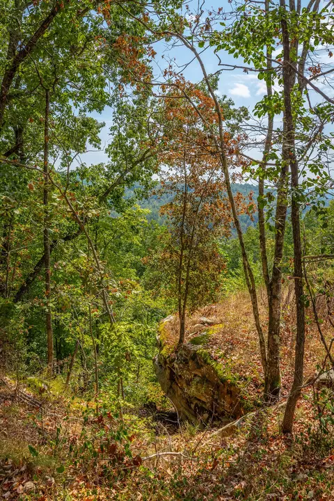 0 Split Rail Way #LOT 1358, Guild, TN 37340 photo 44