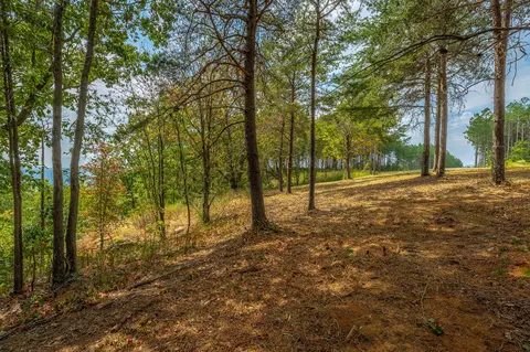 0 Split Rail Way #LOT 1358, Guild, TN 37340 photo 52
