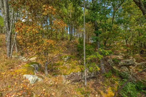 0 Split Rail Way #LOT 1358, Guild, TN 37340 photo 46