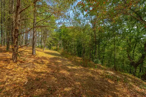 0 Split Rail Way #LOT 1358, Guild, TN 37340 photo 53