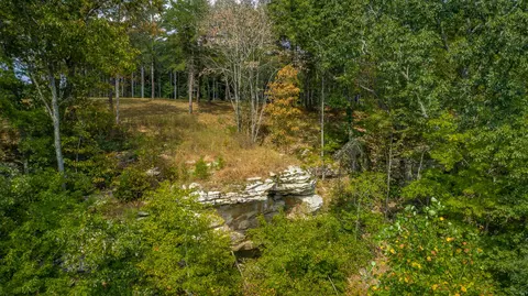 0 Split Rail Way #LOT 1358, Guild, TN 37340 photo 79