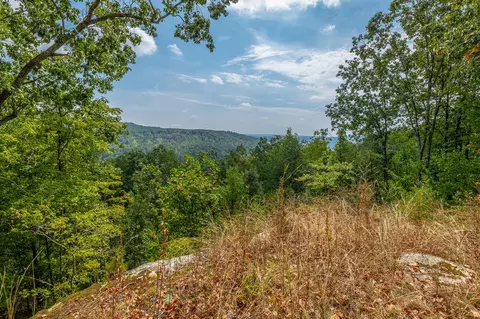 0 Split Rail Way #LOT 1358, Guild, TN 37340 photo 6