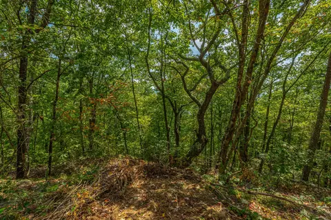 0 Split Rail Way #LOT 1358, Guild, TN 37340 photo 58