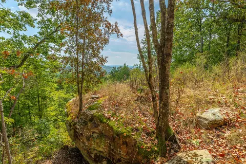0 Split Rail Way #LOT 1358, Guild, TN 37340 photo 48