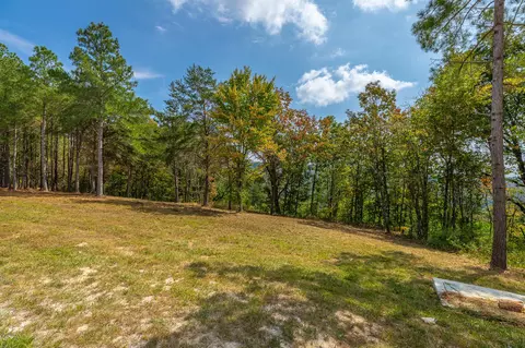 0 Split Rail Way #LOT 1358, Guild, TN 37340 photo 34
