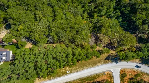 0 Split Rail Way #LOT 1358, Guild, TN 37340 photo 96