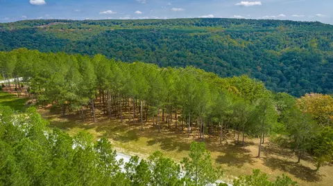 0 Split Rail Way #LOT 1358, Guild, TN 37340 photo 72