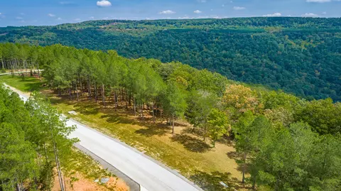 0 Split Rail Way #LOT 1358, Guild, TN 37340 photo 73