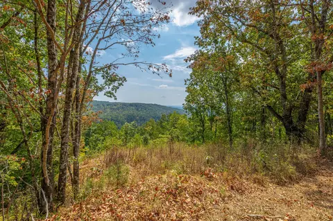 0 Split Rail Way #LOT 1358, Guild, TN 37340 photo 11