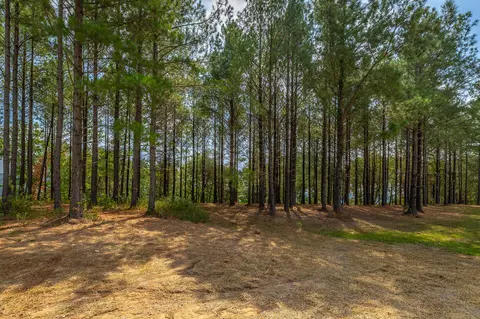 0 Split Rail Way #LOT 1358, Guild, TN 37340 photo 23
