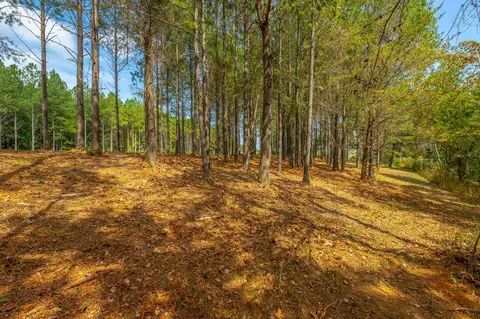 0 Split Rail Way #LOT 1358, Guild, TN 37340 photo 51