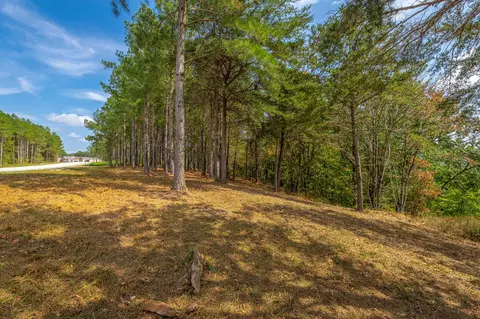 0 Split Rail Way #LOT 1358, Guild, TN 37340 photo 42