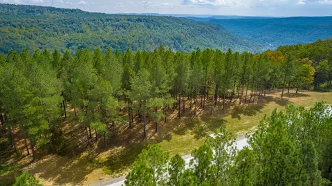 0 Split Rail Way #LOT 1358, Guild, TN 37340 photo 83
