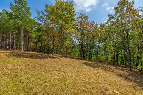 0 Split Rail Way #LOT 1358, Guild, TN 37340 photo 38