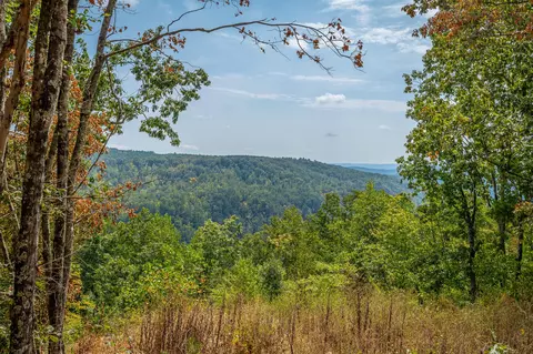 0 Split Rail Way #LOT 1358, Guild, TN 37340