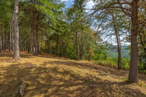0 Split Rail Way #LOT 1358, Guild, TN 37340 photo 41