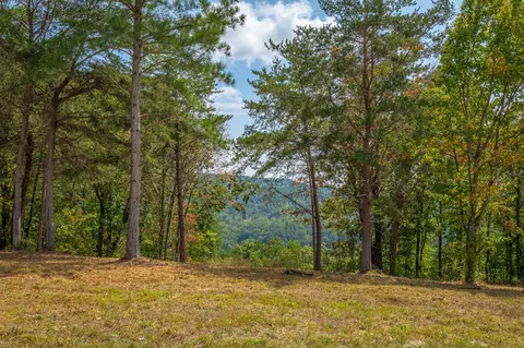 0 Split Rail Way #LOT 1358, Guild, TN 37340 photo 32
