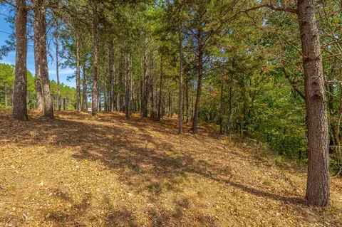 0 Split Rail Way #LOT 1358, Guild, TN 37340 photo 43