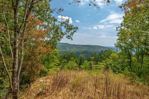 0 Split Rail Way #LOT 1358, Guild, TN 37340 photo 5