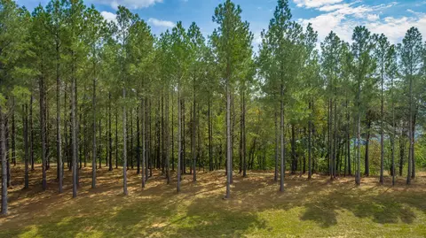 0 Split Rail Way #LOT 1358, Guild, TN 37340 photo 68