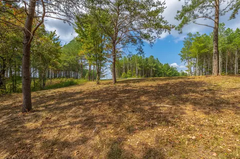 0 Split Rail Way #LOT 1358, Guild, TN 37340 photo 45