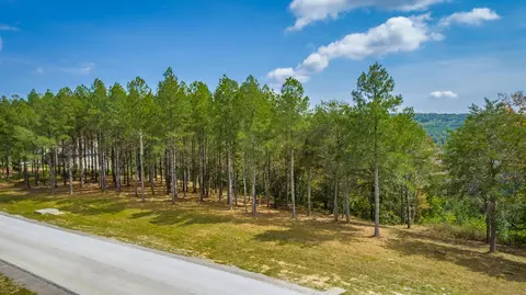 0 Split Rail Way #LOT 1358, Guild, TN 37340 photo 67