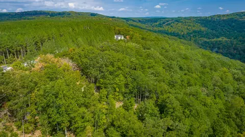 0 Split Rail Way #LOT 1358, Guild, TN 37340 photo 76