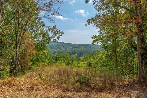 0 Split Rail Way #LOT 1358, Guild, TN 37340 photo 10