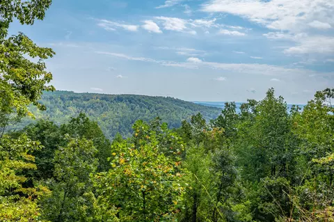 0 Split Rail Way #LOT 1358, Guild, TN 37340 photo 8
