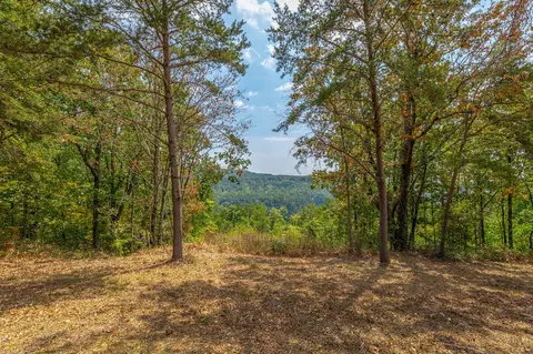 0 Split Rail Way #LOT 1358, Guild, TN 37340 photo 13