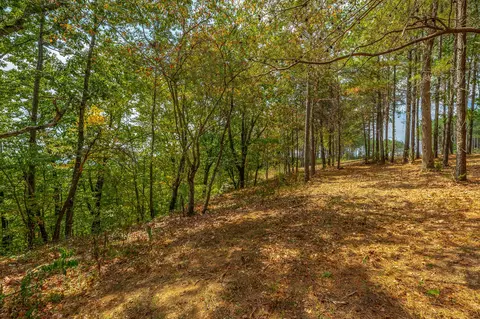 0 Split Rail Way #LOT 1358, Guild, TN 37340 photo 54