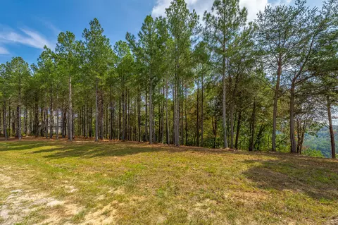 0 Split Rail Way #LOT 1358, Guild, TN 37340 photo 30