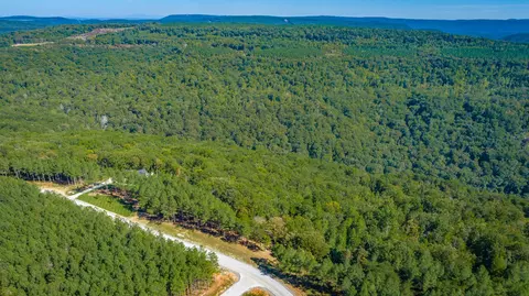 0 Split Rail Way #LOT 1358, Guild, TN 37340 photo 91