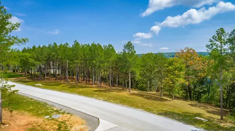 0 Split Rail Way #LOT 1358, Guild, TN 37340 photo 64