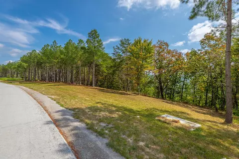 0 Split Rail Way #LOT 1358, Guild, TN 37340 photo 33