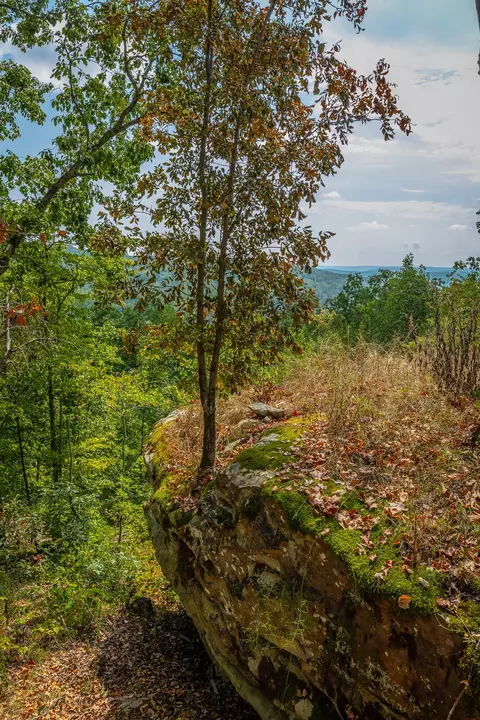 0 Split Rail Way #LOT 1358, Guild, TN 37340 photo 47