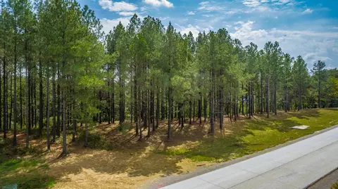 0 Split Rail Way #LOT 1358, Guild, TN 37340 photo 69