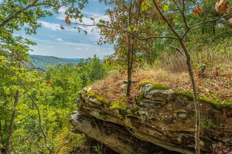0 Split Rail Way #LOT 1358, Guild, TN 37340 photo 2