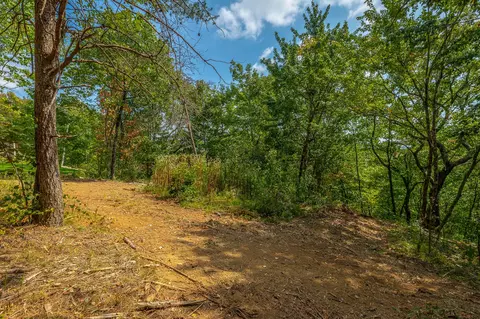 0 Split Rail Way #LOT 1358, Guild, TN 37340 photo 56