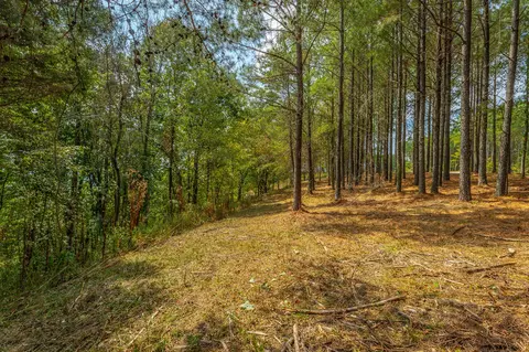 0 Split Rail Way #LOT 1358, Guild, TN 37340 photo 55