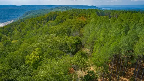0 Split Rail Way #LOT 1358, Guild, TN 37340 photo 80
