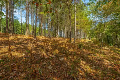 0 Split Rail Way #LOT 1358, Guild, TN 37340 photo 50