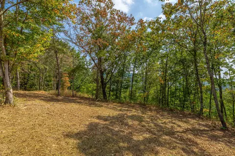 0 Split Rail Way #LOT 1358, Guild, TN 37340 photo 40
