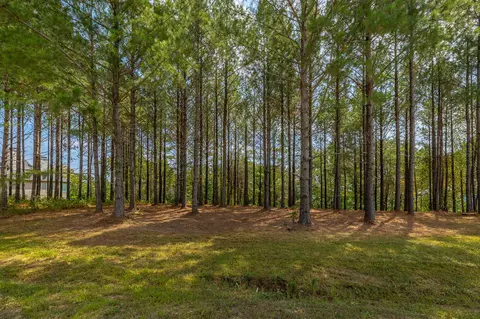 0 Split Rail Way #LOT 1358, Guild, TN 37340 photo 25