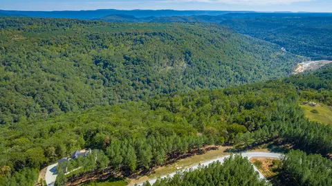 0 Split Rail Way #LOT 1358, Guild, TN 37340 photo 95