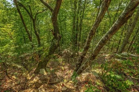 0 Split Rail Way #LOT 1358, Guild, TN 37340 photo 59