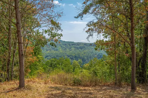 0 Split Rail Way #LOT 1358, Guild, TN 37340 photo 12